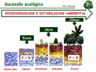 Sucessão ecológica Prof. Emanuel
Rocha Nua
Ecese
Líquens Gramíneas Arbustos Árvore
BIODIVERSIDADE E ESTABILIDADE AMBIENTAL
Série
Clímax
F > R F = R
 
