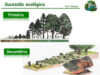 Sucessão ecológica Prof. Emanuel
Primária
Secundária
 