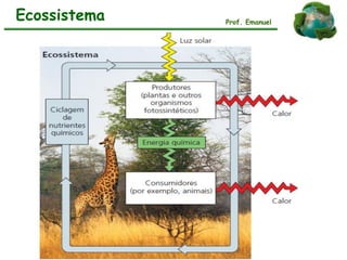 Ecossistema Prof. Emanuel
 