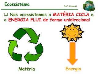 Ecossistema
 Nos ecossistemas a MATÉRIA CICLA e
a ENERGIA FLUI de forma unidirecional
Matéria Energia
Prof. Emanuel
 