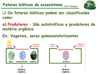 Fatores bióticos do ecossistema
 Os fatores bióticos podem ser classificados
como:
a) Produtores – São autotróficos e produtores de
matéria orgânica
Ex. Vegetais, seres quimiossintetizantes
Prof. Emanuel
Algas Cianobactérias Vegetais bactérias
Fotossintetizantes Quimiossintetizantes
Matéria
orgânica
Matéria
orgânica
 