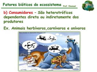 Fatores bióticos do ecossistema
b) Consumidores – São heterotróficos
dependentes direta ou indiretamente dos
produtores
Ex. Animais herbívoros,carnívoros e onívoros
Prof. Emanuel
 