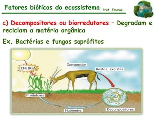 Fatores bióticos do ecossistema
c) Decompositores ou biorredutores – Degradam e
reciclam a matéria orgânica
Ex. Bactérias e fungos saprófitos
Prof. Emanuel
 