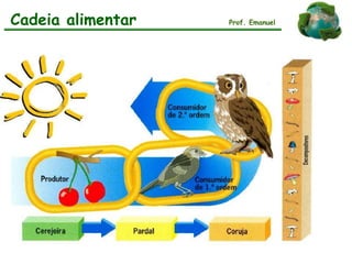 Cadeia alimentar Prof. Emanuel
 