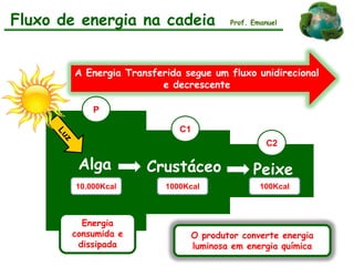 Alga Crustáceo Peixe
10.000Kcal 1000Kcal 100Kcal
Fluxo de energia na cadeia Prof. Emanuel
Energia
consumida e
dissipada
P
C1
C2
A Energia Transferida segue um fluxo unidirecional
e decrescente
O produtor converte energia
luminosa em energia química
 