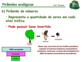 b) Pirâmide de números
• Representa a quantidade de seres em cada
nível trófico
• Pode possuir base invertida
Pirâmides ecológicas Prof. Emanuel
8 corujas
3000 carrapatos
 