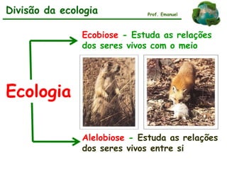 Ecologia
Divisão da ecologia
Ecobiose - Estuda as relações
dos seres vivos com o meio
Alelobiose - Estuda as relações
dos seres vivos entre si
Prof. Emanuel
 