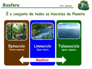 É o conjunto de todos os biociclos do Planeta
Biosfera Prof. Emanuel
Epinociclo
Terras emersas
Limnociclo
Águas doces
Talassociclo
Águas salgadas
Biosfera
 
