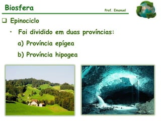  Epinociclo
• Foi dividido em duas províncias:
a) Província epígea
b) Província hipogea
Biosfera Prof. Emanuel
 