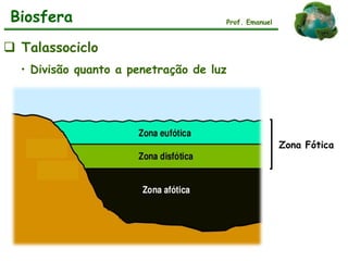 Biosfera
 Talassociclo
• Divisão quanto a penetração de luz
Prof. Emanuel
Zona Fótica
 