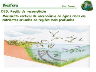 Biosfera
OBS. Região de ressurgência
Movimento vertical de ascendência de águas ricas em
nutrientes oriundas de regiões mais profundas.
Prof. Emanuel
 