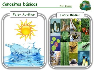 Conceitos básicos Prof. Emanuel
Fator Abiótico Fator Biótico
 