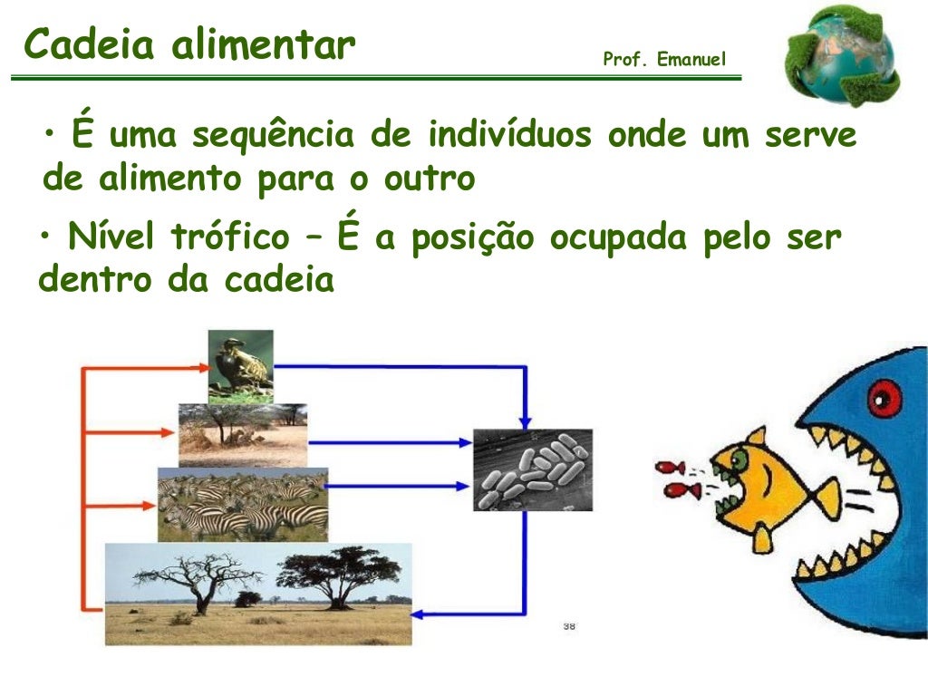 Diferencie O Nivel De Organizaçao Comunidade Do Nivel Ecossistema