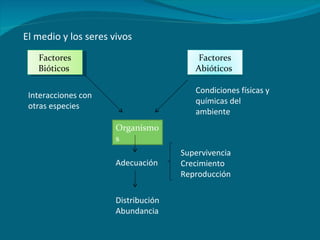 El medio y los seres vivos Factores Bióticos  Interacciones con otras especies Condiciones físicas y químicas del ambiente Organismos Adecuación Supervivencia Crecimiento Reproducción Distribución  Abundancia Factores Abióticos  
