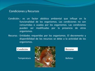Condiciones y Recursos Condición.- es un factor abiótico ambiental que influye en la funcionalidad de los organismos. Las condiciones no son consumidas o usadas por los organismos. Las condiciones pueden ser modificadas por la presencia de otros organismos. Recurso.- Entidades requeridas por los organismos. El decremento y disponibilidad de los recursos se debe a la actividad de los organismos. Condición Recurso Temperatura Bellotas 