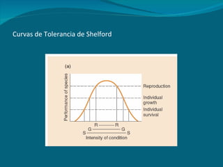 Curvas de Tolerancia de Shelford 
