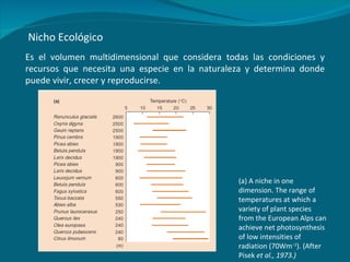 Nicho Ecológico Es el volumen multidimensional que considera todas las condiciones y recursos que necesita una especie en la naturaleza y determina donde puede vivir, crecer y reproducirse. (a) A niche in one dimension. The range of temperatures at which a variety of plant species from the European Alps can achieve net photosynthesis of low intensities of radiation (70Wm −2 ). (After Pisek  et al., 1973.) 