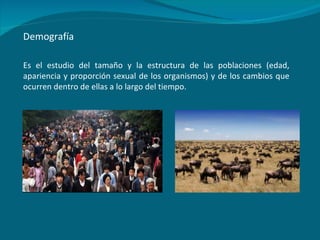 Demografía Es el estudio del tamaño y la estructura de las poblaciones (edad, apariencia y proporción sexual de los organismos) y de los cambios que ocurren dentro de ellas a lo largo del tiempo. 