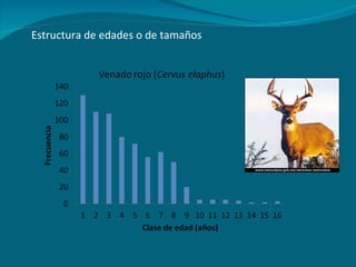 Estructura de edades o de tamaños 