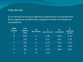 Tabla de vida Es un formato en el cual se registra la supervivencia y la reproducción de los organismos de diferentes categorías de edad o de tamaño de una población. Edad (meses) X # de balanos vivos mx (fecundidad) l x (supervivencia) q x (mortalidad) e x (esperanza de vida) 0 1243 0 1.00 0.58 1.45 1 518 0 0.41 0.33 1.78 2 347 0 0.27 0.35 1.42 3 223 0 0.17 0.60 0.92 4 89 78 0.07 0.86 0.57 5 12 23 0.01 - - 