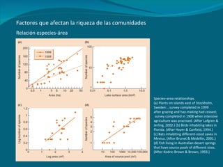Relación especies-área Species–area relationships. (a) Plants on islands east of Stockholm, Sweden: , survey completed in 1999 after grazing and hay-making had ceased; survey completed in 1908 when intensive agriculture was practised. (After Lofgren & Jerling, 2002.) (b) Birds inhabiting lakes in Florida. (After Hoyer & Canfield, 1994.) (c) Bats inhabiting different-sized caves in Mexico. (After Brunet & Medellin, 2001.) (d) Fish living in Australian desert springs that have source pools of different sizes. (After Kodric-Brown & Brown, 1993.) Factores que afectan la riqueza de las comunidades 