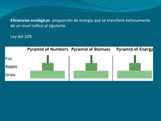 Eficiencias ecológicas .-proporción de energía que se transfiere exitosamente de un nivel trófico al siguiente. Ley del 10%  