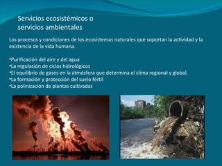 Servicios ecosistémicos o servicios ambientales Los procesos y condiciones de los ecosistemas naturales que soportan la actividad y la existencia de la vida humana. Purificación del aire y del agua La regulación de ciclos hidrológicos El equilibrio de gases en la atmósfera que determina el clima regional y global. La formación y protección del suelo fértil La polinización de plantas cultivadas 