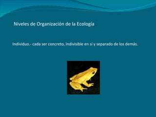 Niveles de Organización de la Ecología Individuo.- cada ser concreto, indivisible en sí y separado de los demás. 