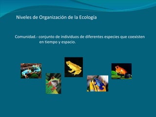 Niveles de Organización de la Ecología Comunidad.- conjunto de individuos de diferentes especies que coexisten en tiempo y espacio. 
