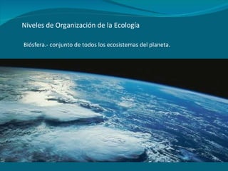 Niveles de Organización de la Ecología Biósfera.- conjunto de todos los ecosistemas del planeta. 