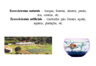 Ecossistemas naturais  - bosques, florestas, desertos, prados, rios, oceanos, etc. Ecossistemas artificiais  - construídos pelo Homem: açudes, aquários, plantações, etc. 
