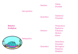Relações Ecológicas Intra-especificas Harmônica |Colônia |Sociedade   Desarmônica |Canibalismo |Competição   Interespecíficas Harmônica |Comensalismo |Inquilinismo |Mutualismo |Simbiose |Foresia   Desarmônica |Amensalismo |Competição |Esclavagismo |Parasitismo |Predatismo 