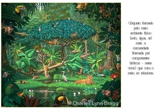 Conjunto formado pelo meio ambiente físico (solo, água, ar) mais a comunidade (formada por componentes bióticos - seres vivos) que com o meio se relaciona. 