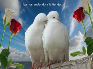 Íbamos andando a la tienda…
 