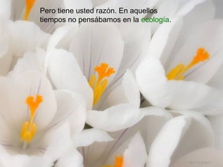 Pero tiene usted razón. En aquellos
tiempos no pensábamos en la ecología.
 