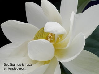 Secábamos la ropa
en tendederos,
 