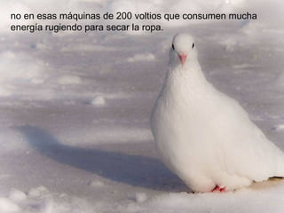 no en esas máquinas de 200 voltios que consumen mucha
energía rugiendo para secar la ropa.
 