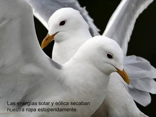 Las energías solar y eólica secaban
nuestra ropa estupendamente.
 