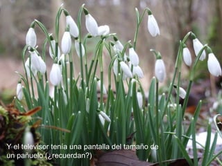 Y el televisor tenía una pantalla del tamaño de
un pañuelo (¿recuerdan?)
 