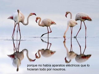 porque no había aparatos eléctricos que lo
hicieran todo por nosotros.
 