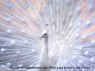 Cuando embalábamos algo frágil para enviarlo por correo
 