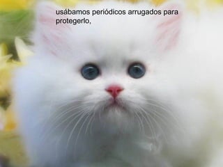 usábamos periódicos arrugados para
protegerlo,
 