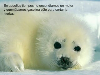 En aquellos tiempos no encendíamos un motor
y quemábamos gasolina sólo para cortar la
hierba.
 