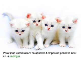 Pero tiene usted razón: en aquellos tiempos no pensábamos
en la ecología.
 