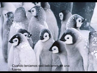 Cuando teníamos sed bebíamos en una
fuente,
 