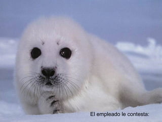 El empleado le contesta:
 