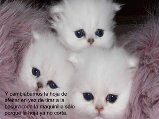 Y cambiábamos la hoja de
afeitar en vez de tirar a la
basura toda la maquinilla sólo
porque la hoja ya no corta.
 