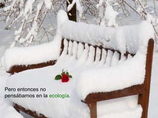 Pero entonces no
pensábamos en la ecología.
 