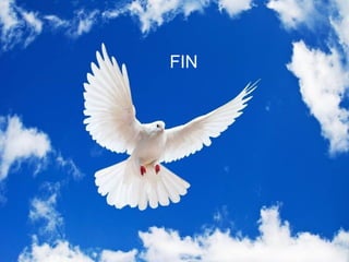 FIN
 