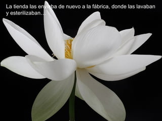 La tienda las enviaba de nuevo a la fábrica, donde las lavaban
y esterilizaban…
 